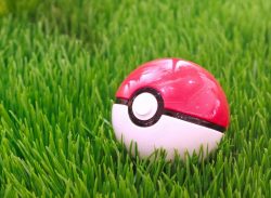 特集Ver.5いざ、仮想世界から古の時代へ。 ポケモンGOで“歴まち”探訪　～秋田県横手市～